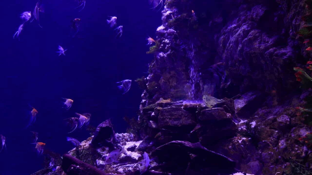 UNDERWATER SOUNDS | Deep Water Bubble Ambience For Sleep / Relaxation | 10 Hours Natural White Noise
