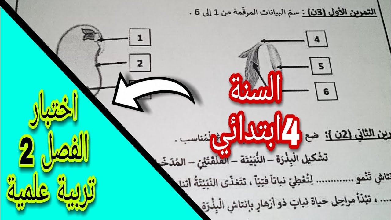 اختبار الفصل الثاني في التربية العلمية السنة 4ابتدائي