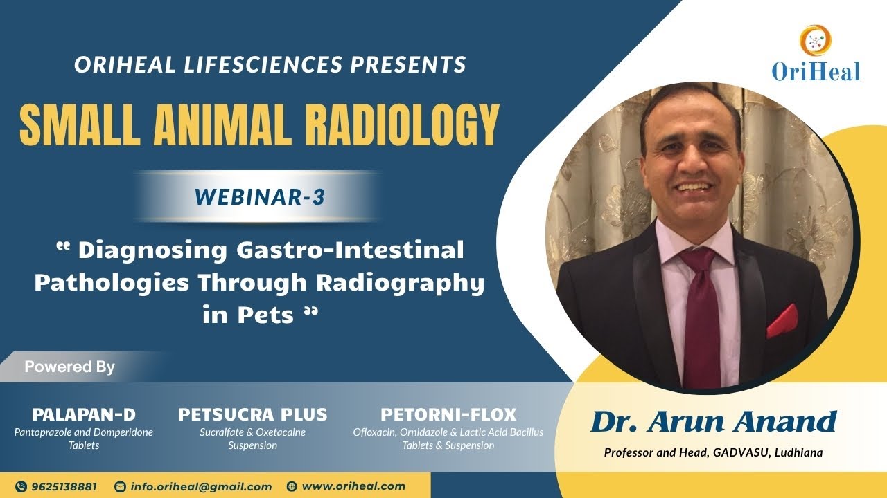 Webinar 3 : Diagnosing Gastro-Intestinal Pathologies Through Radiography in Pets by Dr. Arun Anand