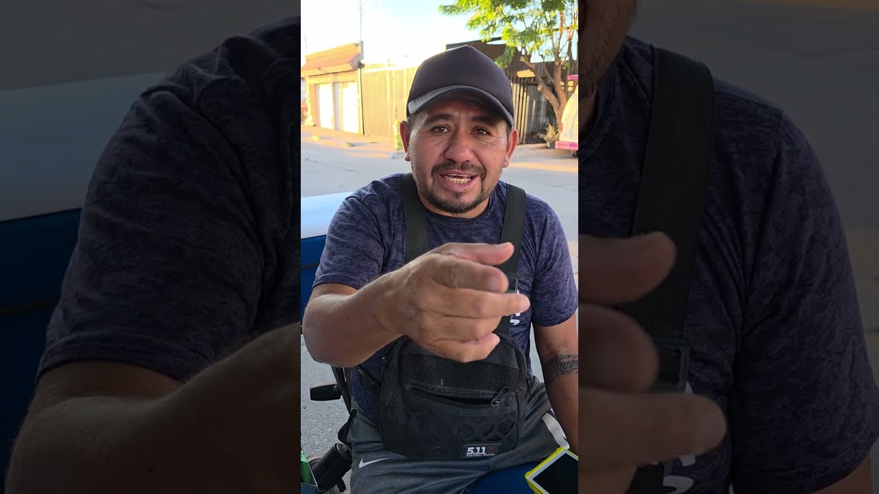 ME PELEABA CON LOS PERROS Y GATOS PARA QUE NO ME GANAN LA COMIDA 