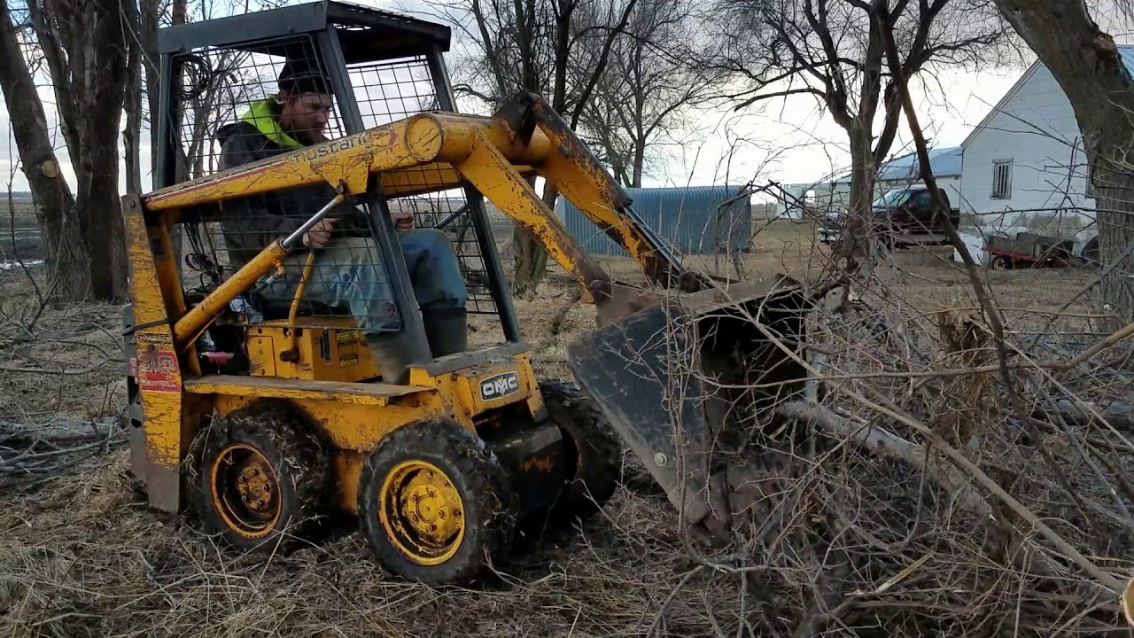 mustang 310 skidloader clearing branches