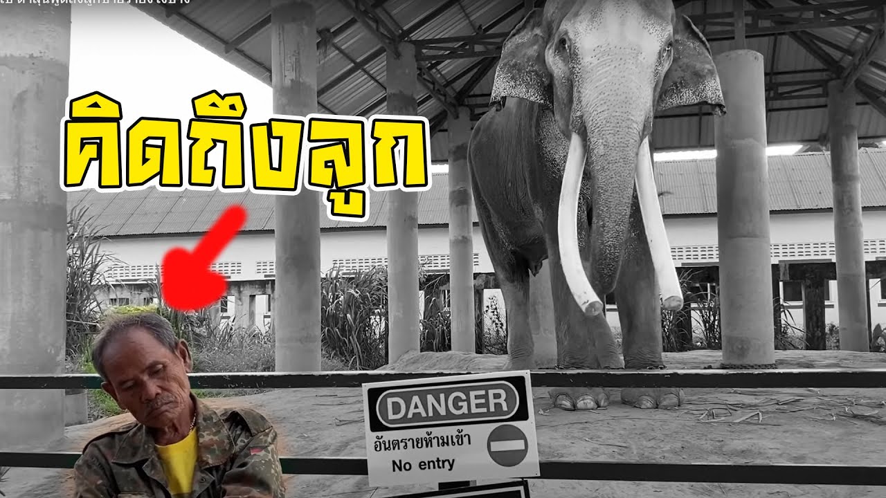 1ปีผ่านไป ตาลุนพูดถึงลูกชายว่ายังไงบ้าง