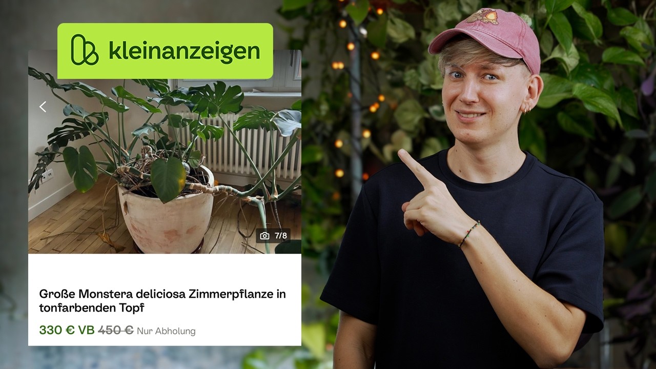 Zimmerpflanzen bei Kleinanzeigen RETTEN 🚑 DIESE 4 Pflanzen brauchen DRINGEND Hilfe!