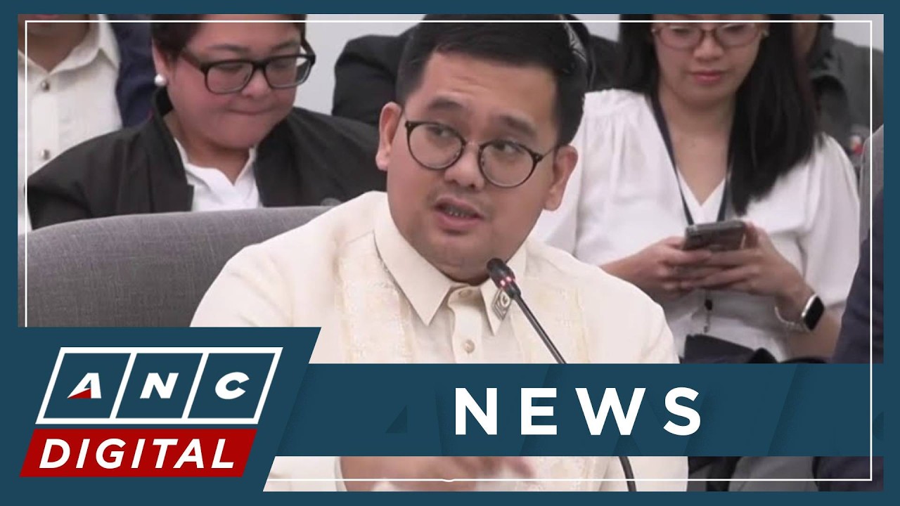 Acosta: COA findings not criminal judgment but highly relevant in VP impeachment discussions | ANC