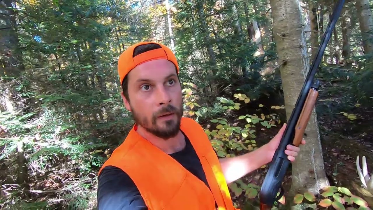 My Grouse Hunting Tips for Beginners