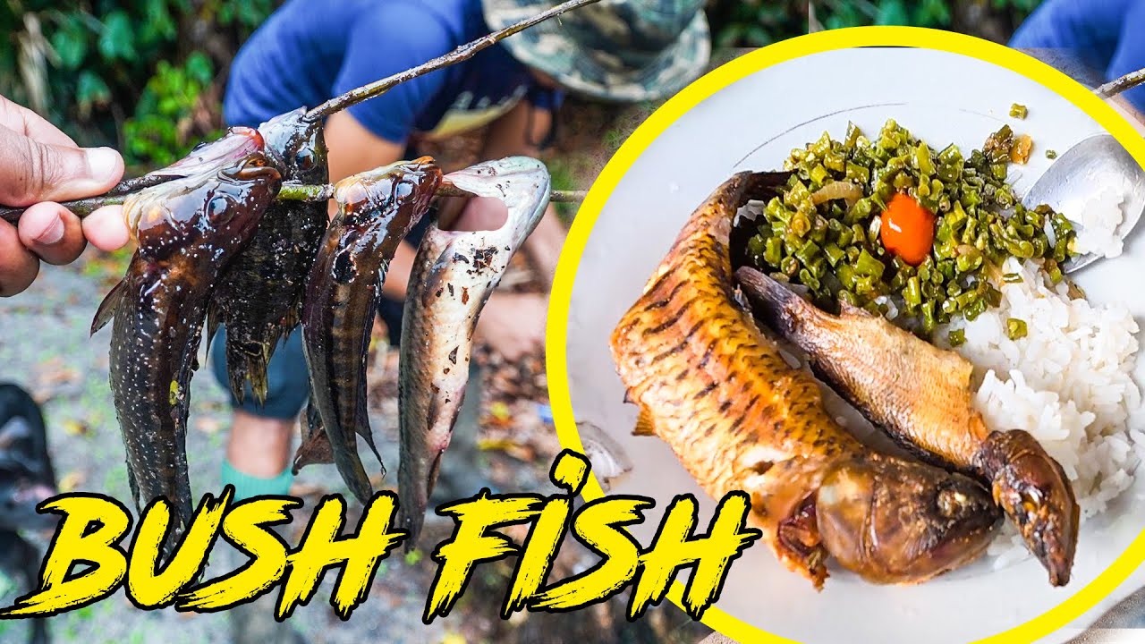 Fishing and Cooking in the Guyanese Jungle
