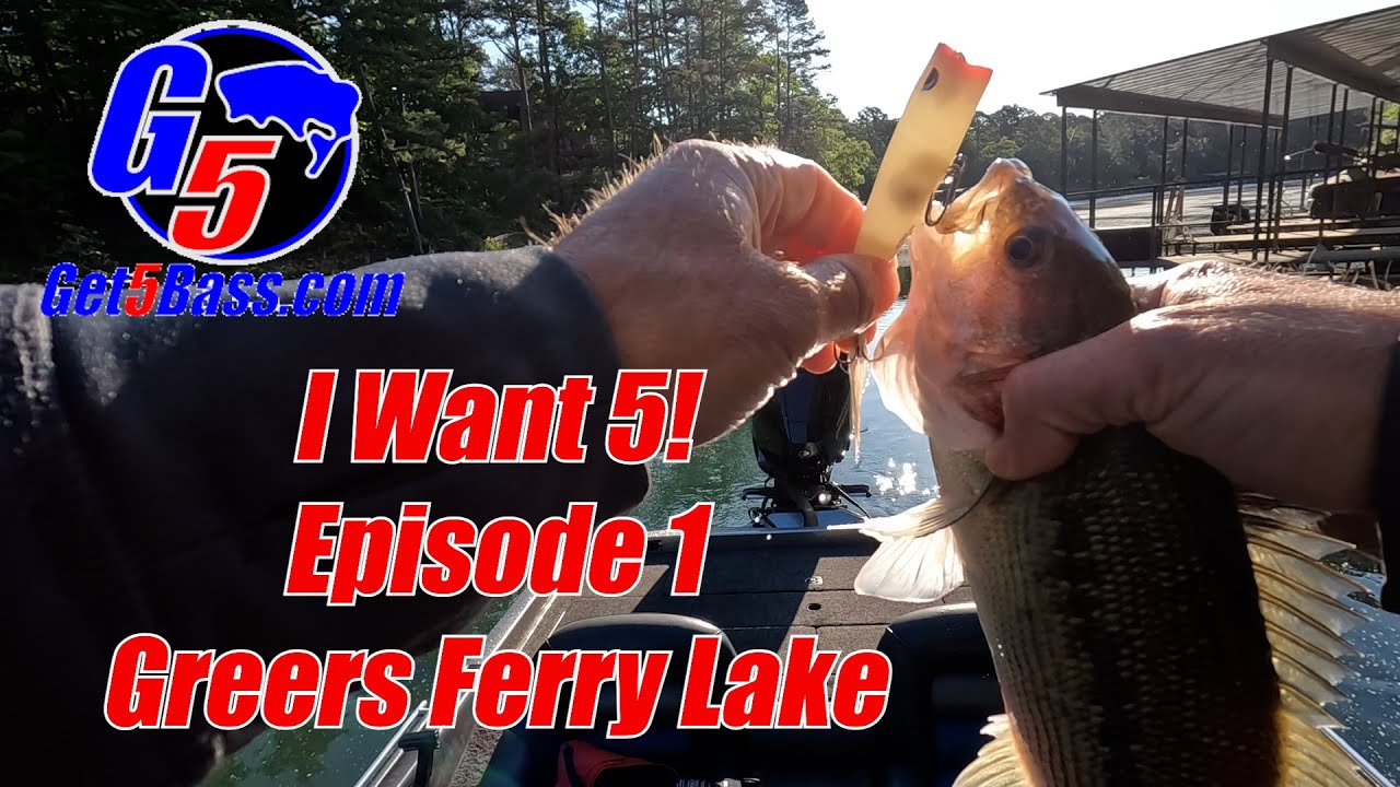 Greers Ferry Lake Bass Fishing - I Want 5! - Episode 1 #arkansasbassfishing #Greersferrylake