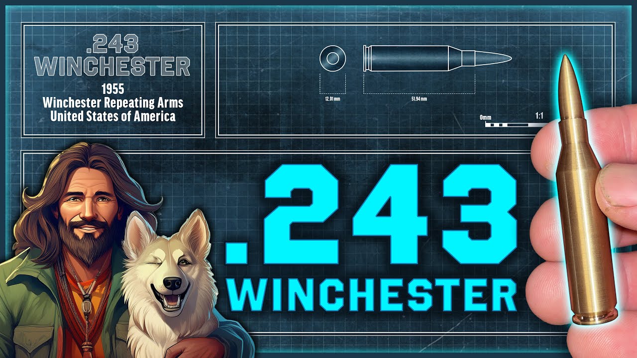 Busting .243 Winchester Myth!
