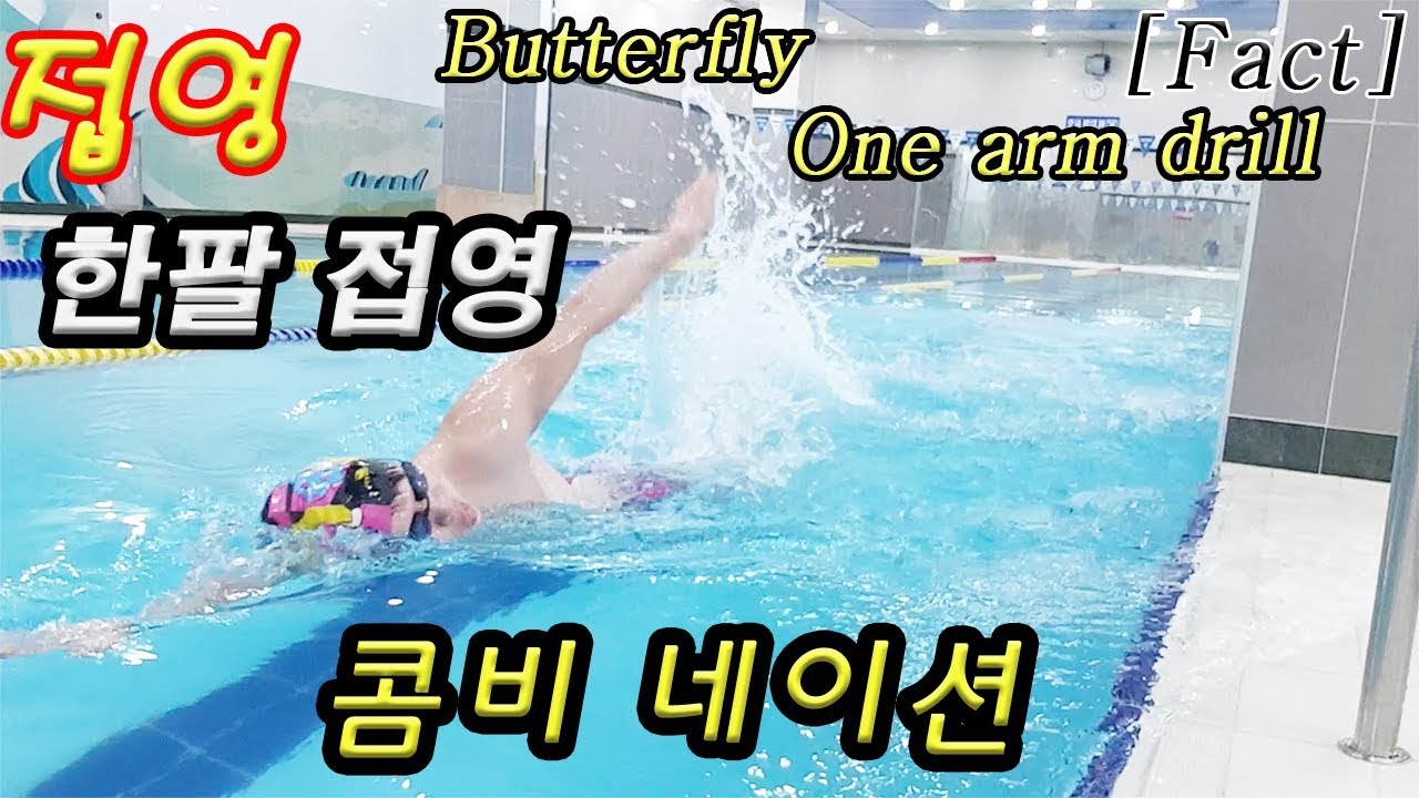한팔접영 입문자 분들께 도움이 될만한 내용입니다.도움이 되시길 바랍니다.
