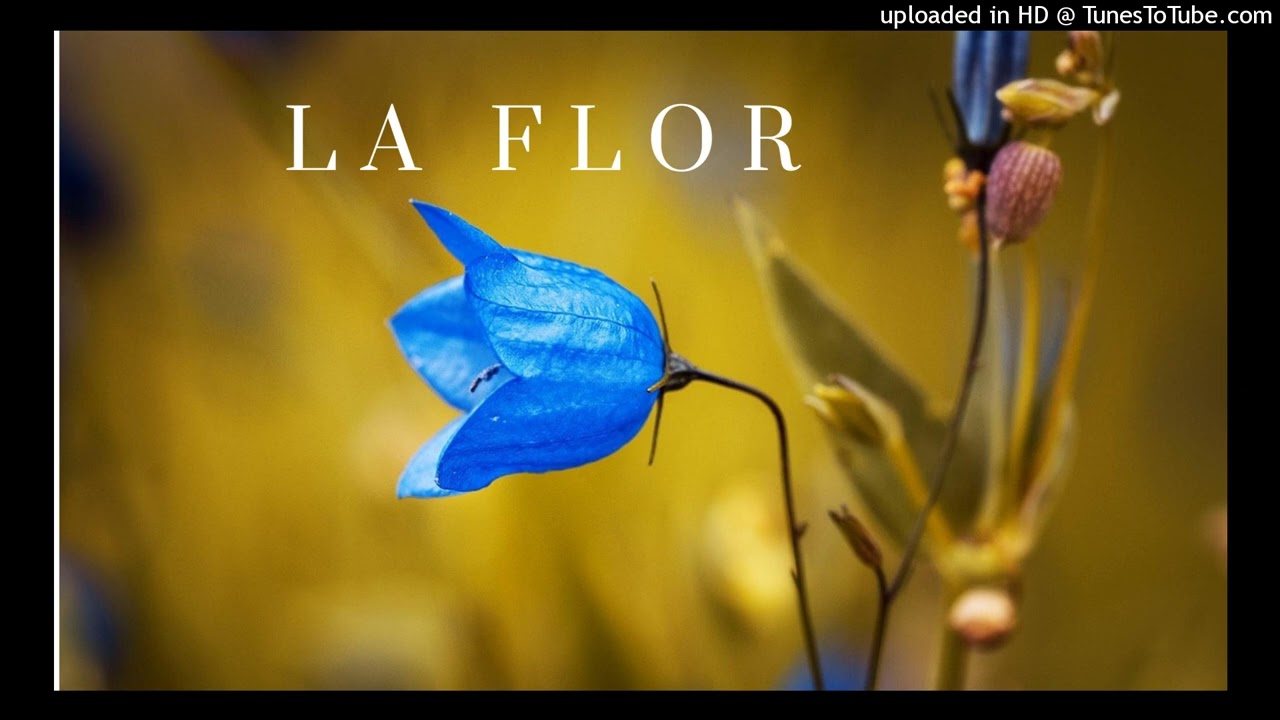 La Flor
