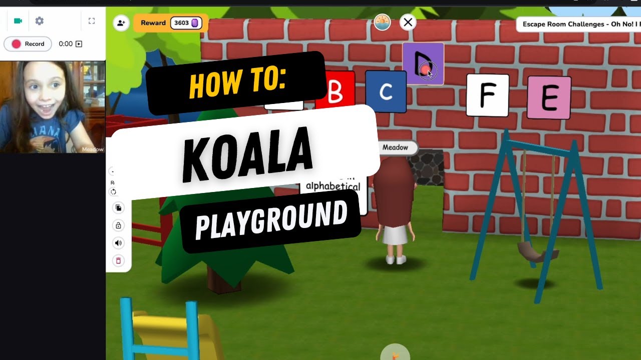 How to Use Playground in Koala Go