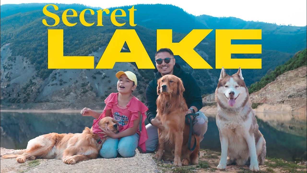 Taking Max and Leo for SWIMMING Adventure l😍 Sony ZV-E1 | The Himalayan Husky