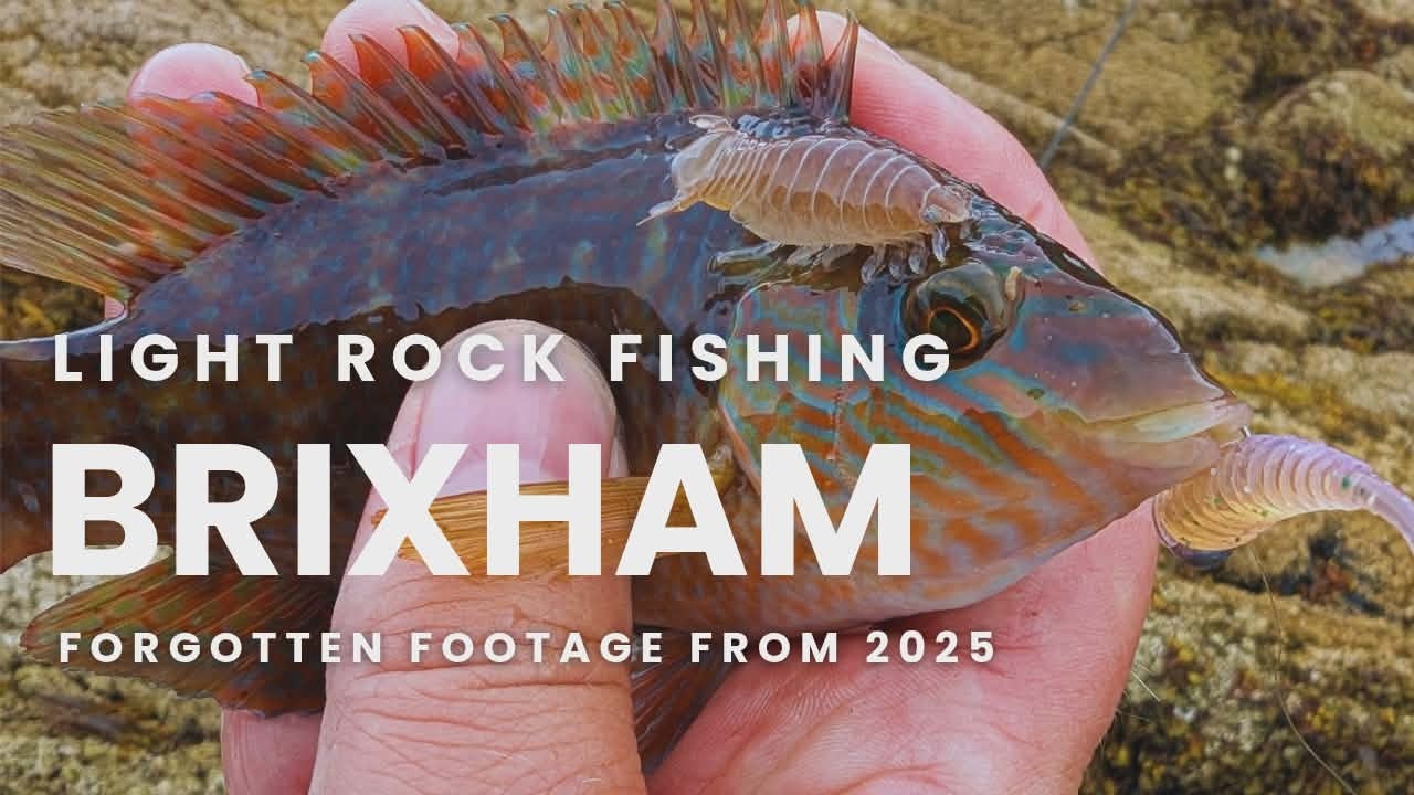 Light Rock Fishing - Brixham - Forgotten Footage From Last Year - Part One