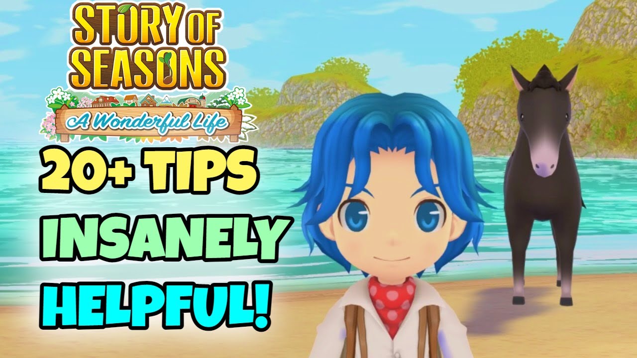 Use These Tips For an AMAZING Play-through in Story of Seasons A Wonderful Life!