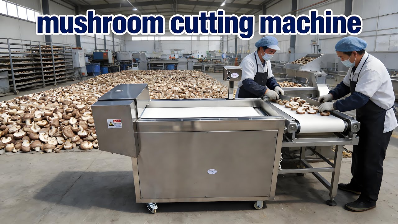 mushroom cutting machine | mushroom cutter machine | Mushroom slicing machine