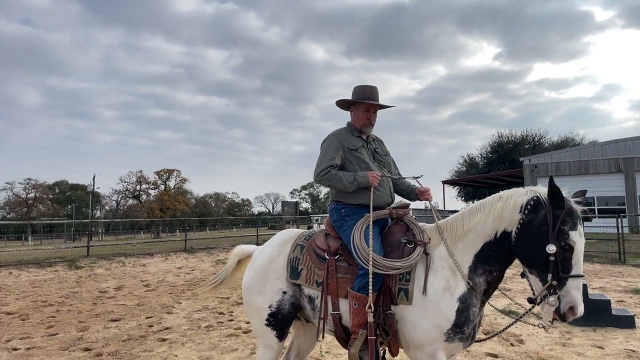 Using my body and seat for movement instead of the reins 