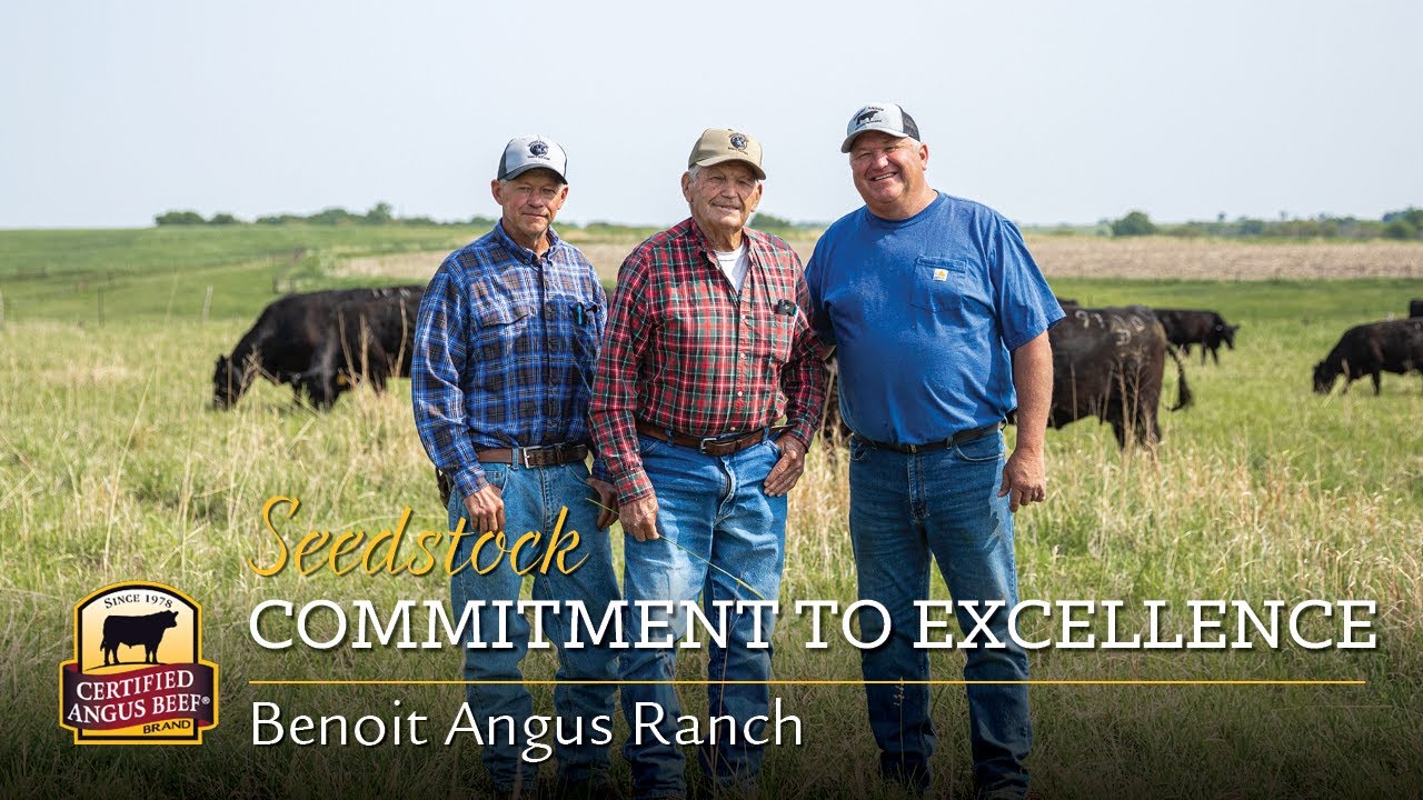The Benoit Family, Benoit Angus Ranch, 2023 Seedstock Commitment to Excellence