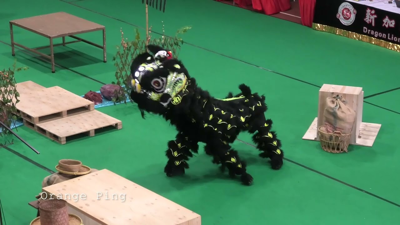 南洋醒狮学院 Namyang Lion Dance Centre