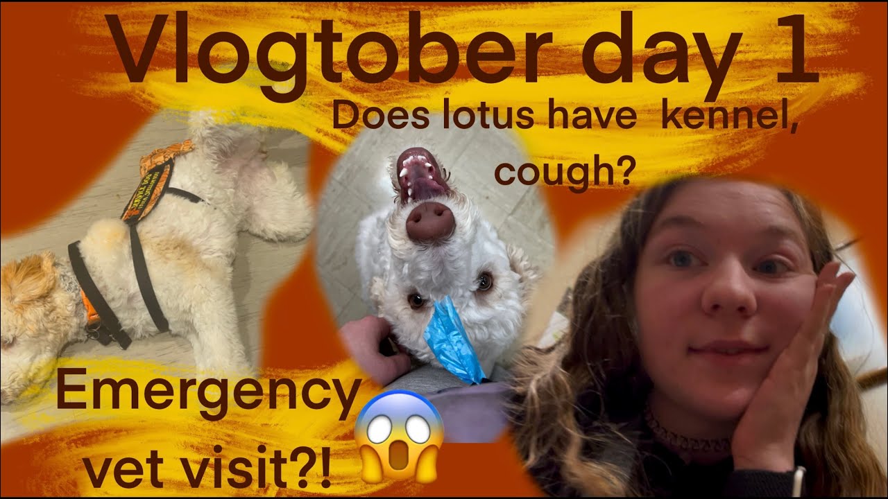 Emergency vet visit?! 10•2•25