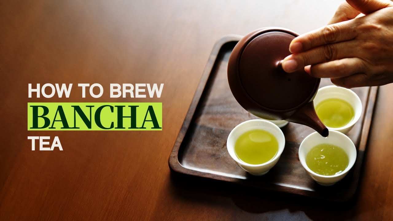 How to Brew Bancha - Complete Bancha Tea Brewing Guide