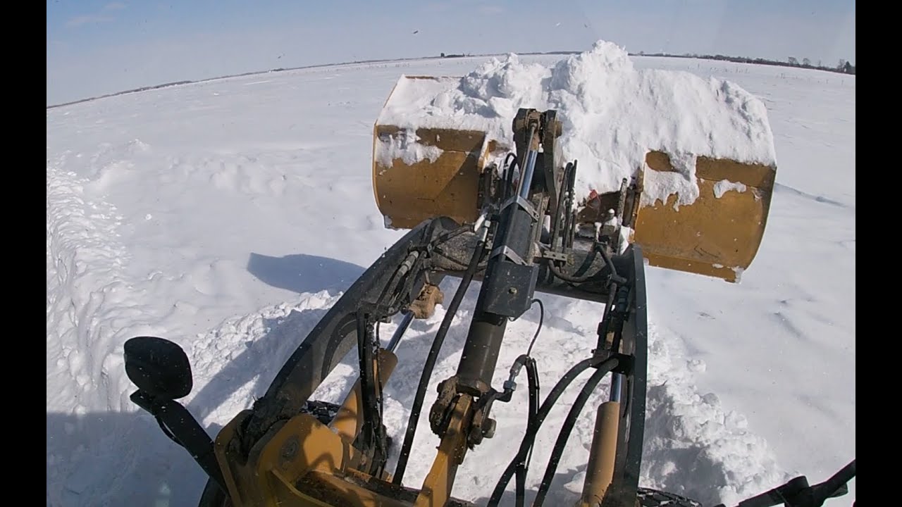 Moving Heifers and Digging out of a Snow Storm