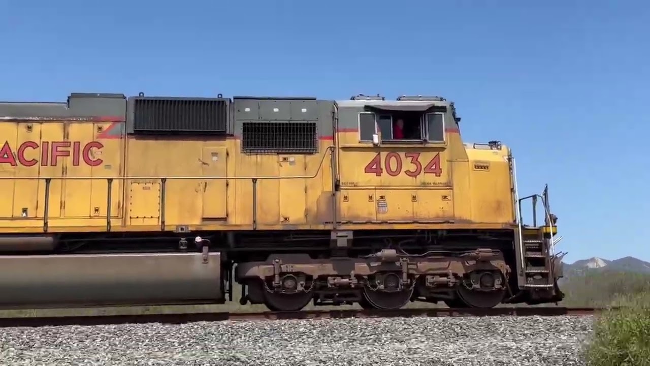 Unexpected visitor “ the awesome engineer “ in LOF 65/67 and a cool pace at seacliff enjoy!