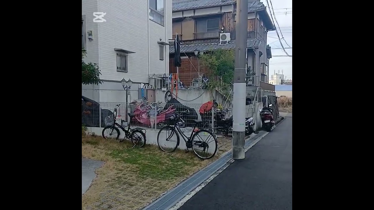 🇯🇵
