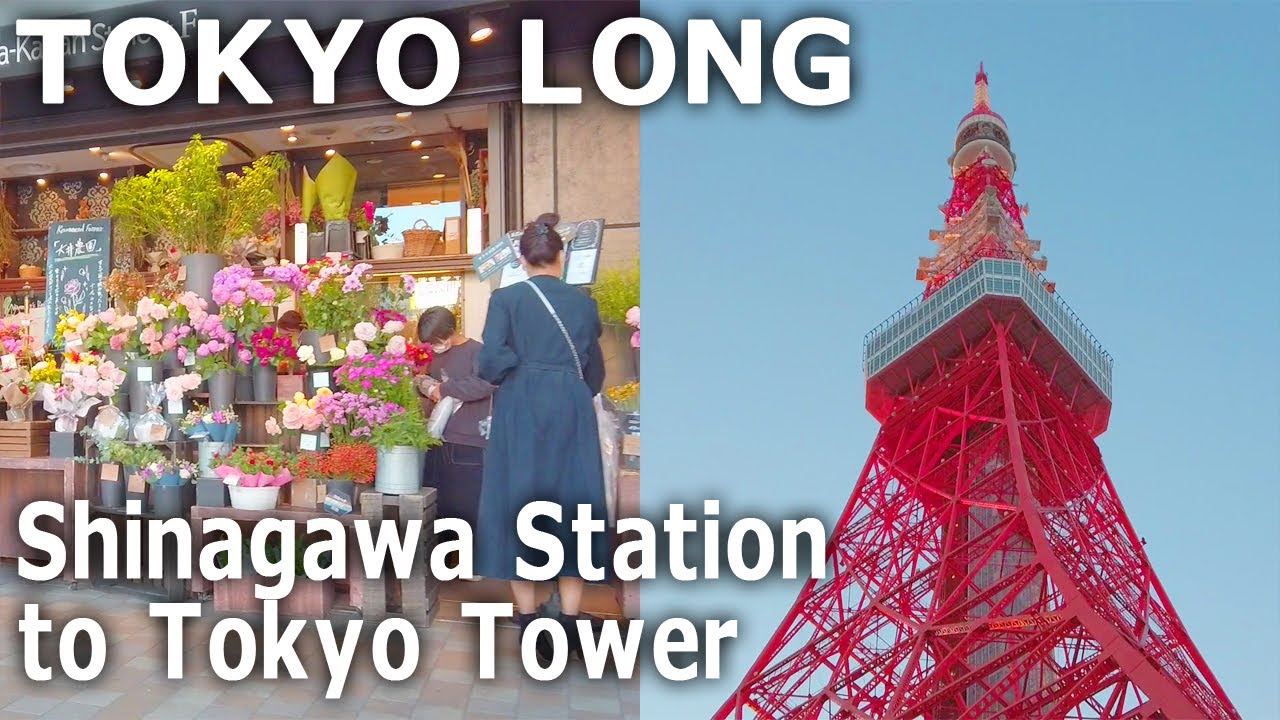 [Tokyo Long Walk] Shinagawa Station to Tokyo Tower (Nov.2021)