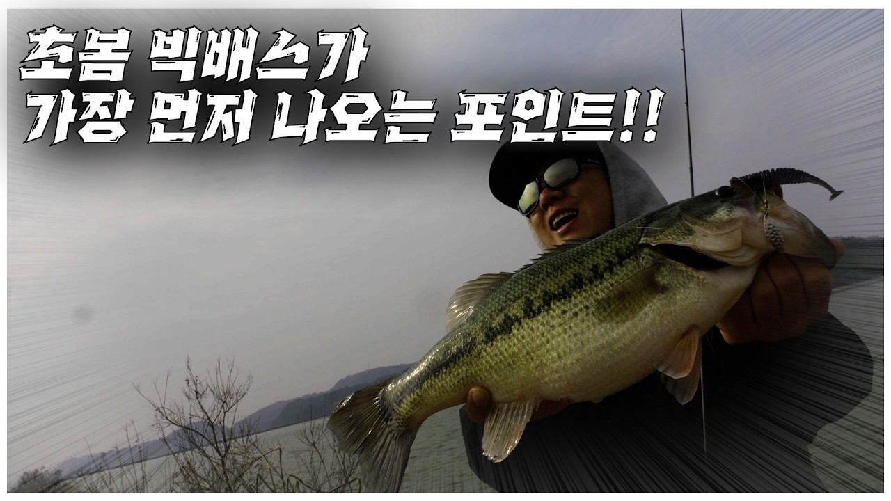빅배스 포인트를 잡기 위한 조건이 있다! 포인트 보는 법과 필드 공략법 공개