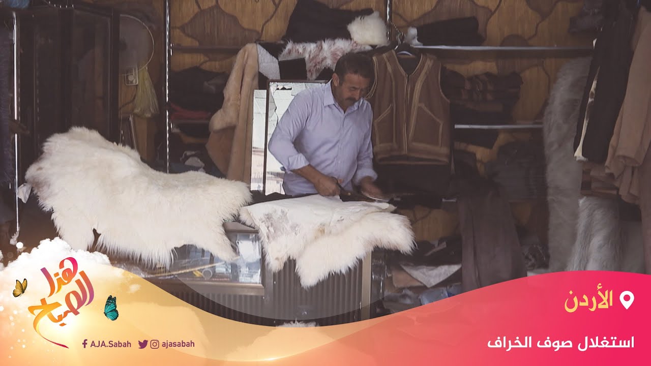 🌅 هذا الصباح - استغلال صوف الخراف.. كيف يستفيد منه الإنسان؟