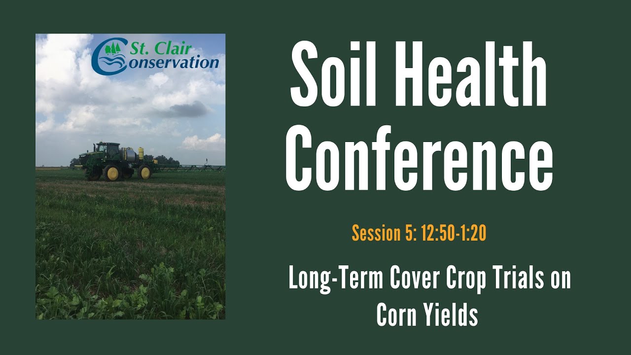 Session 5: Long-Term Cover Crop Trials on Corn Yields
