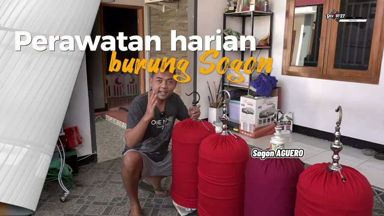 RAWATAN SOGON GACOR