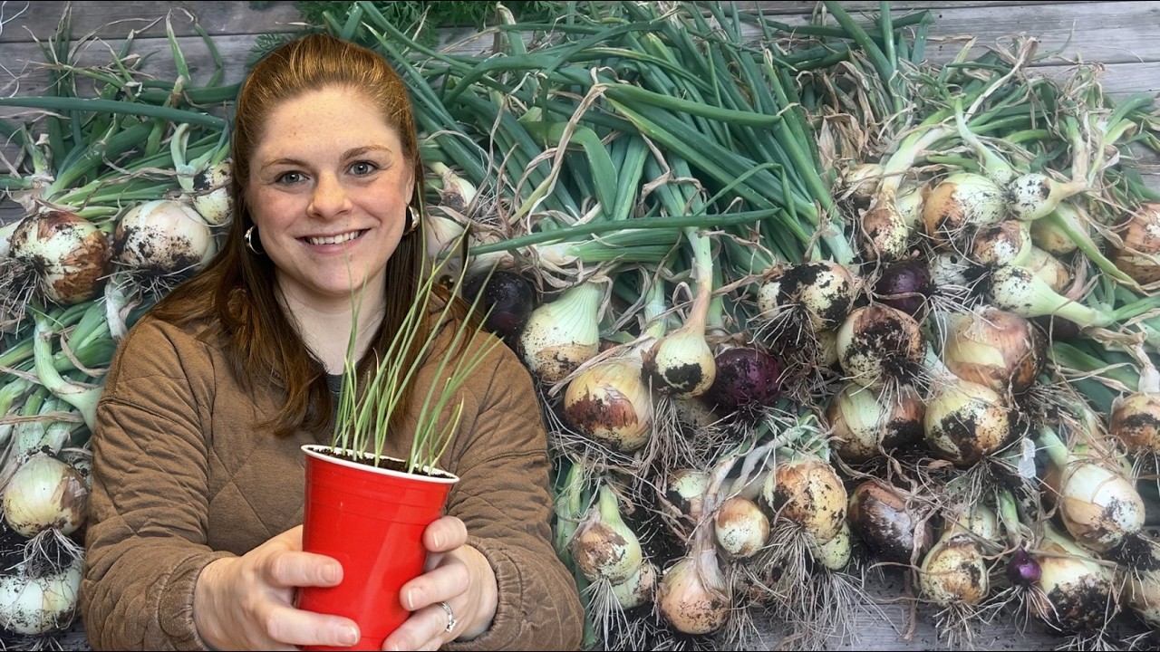 40 Pounds of Onions — This Year I’m Using Half the Space