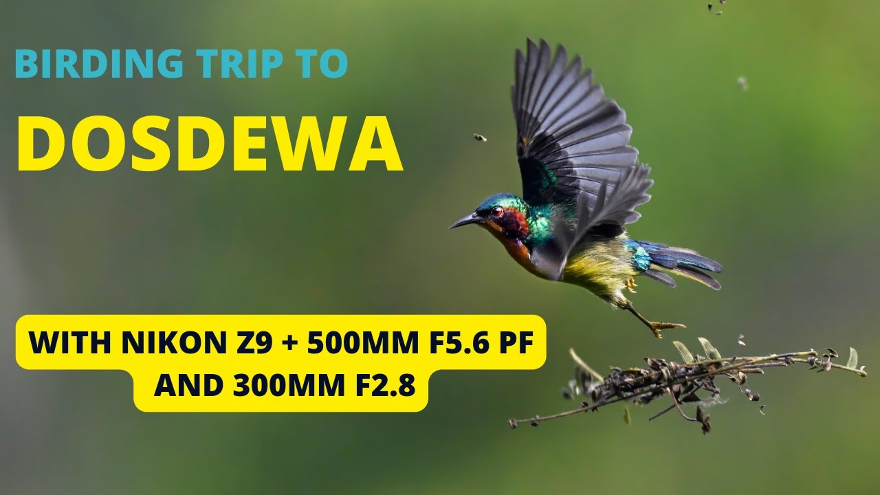 Dosdewa - The hidden birding paradise of Assam