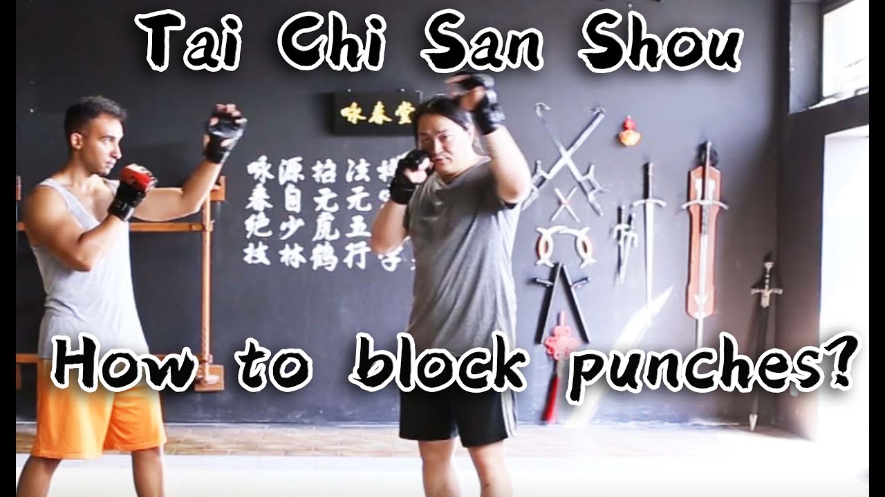 Sanshou Defense - How to block straight punches?