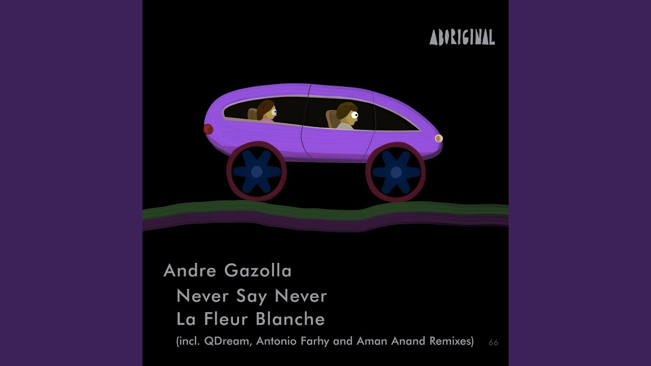Never Say Never (Antônio Farhy Remix)
