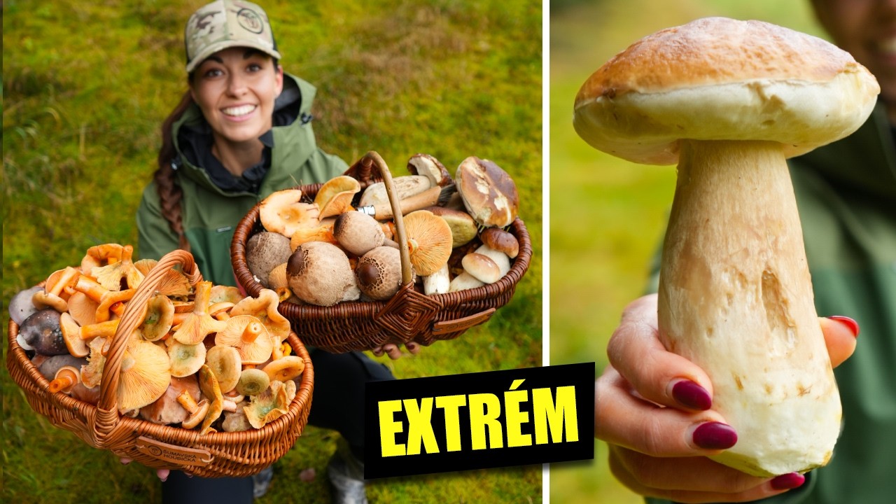 EUFORIE v dešti! Nádherný hřiby na Šumavě! 2 plné koše hub.