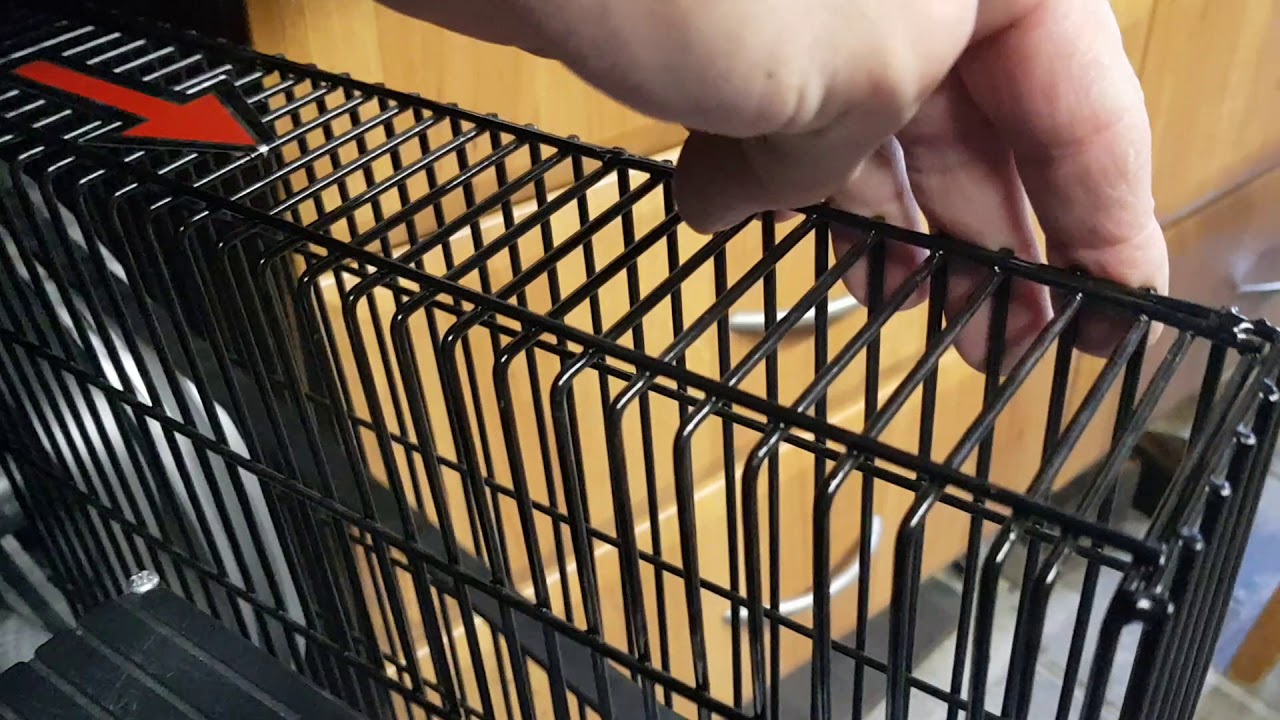 Test wydajności nowego kompresora dwutłokowego ze zbiornikiem 60L Bass BP-4420B
