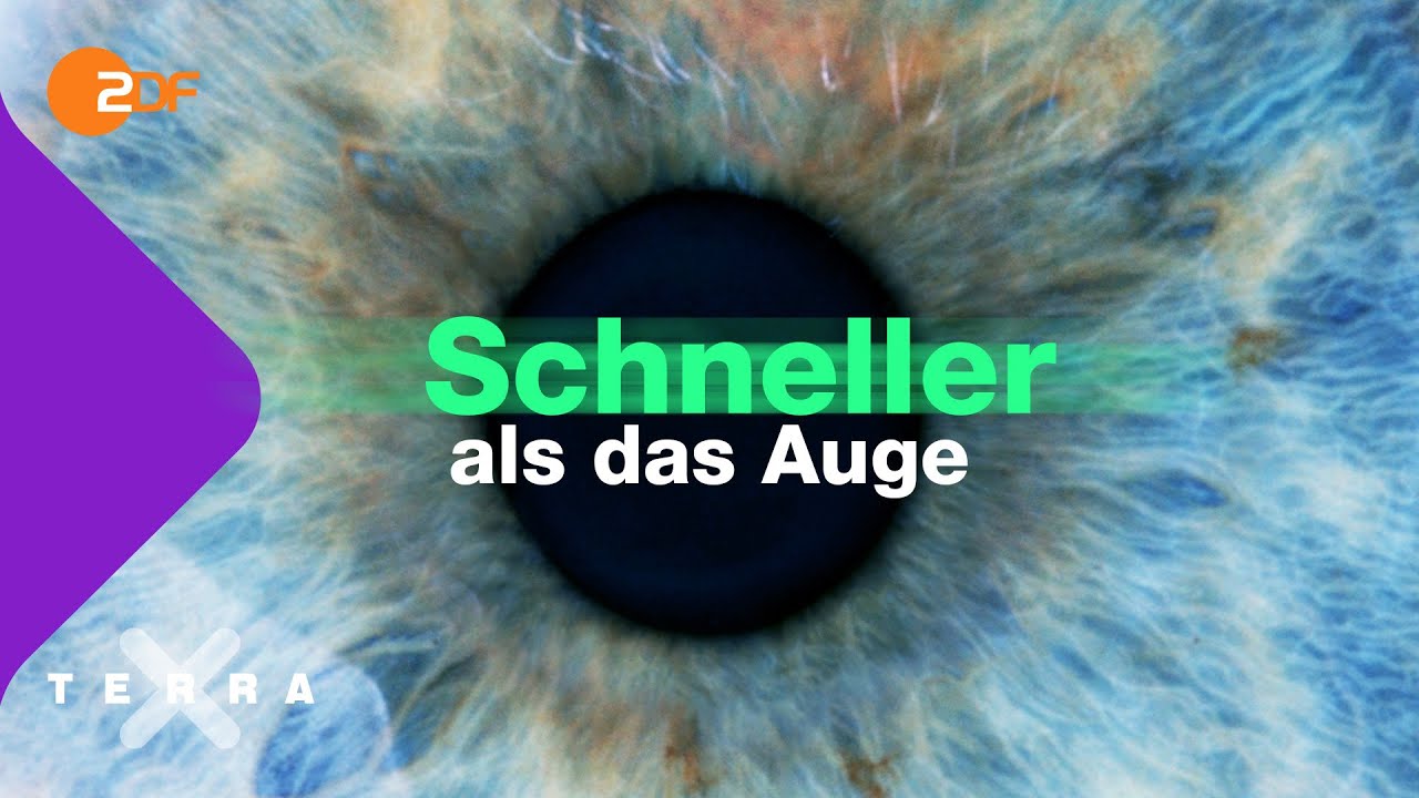 Vom Reiz zur Reaktion - so schnell können wir reagieren | Terra X plus