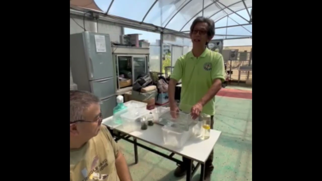 蘭花瓶苗出瓶實習及聚生盆種植工作坊