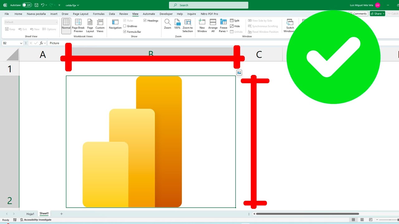 😎 C&oacute;mo INSERTAR IMAGEN en una CELDA de Excel ✔️