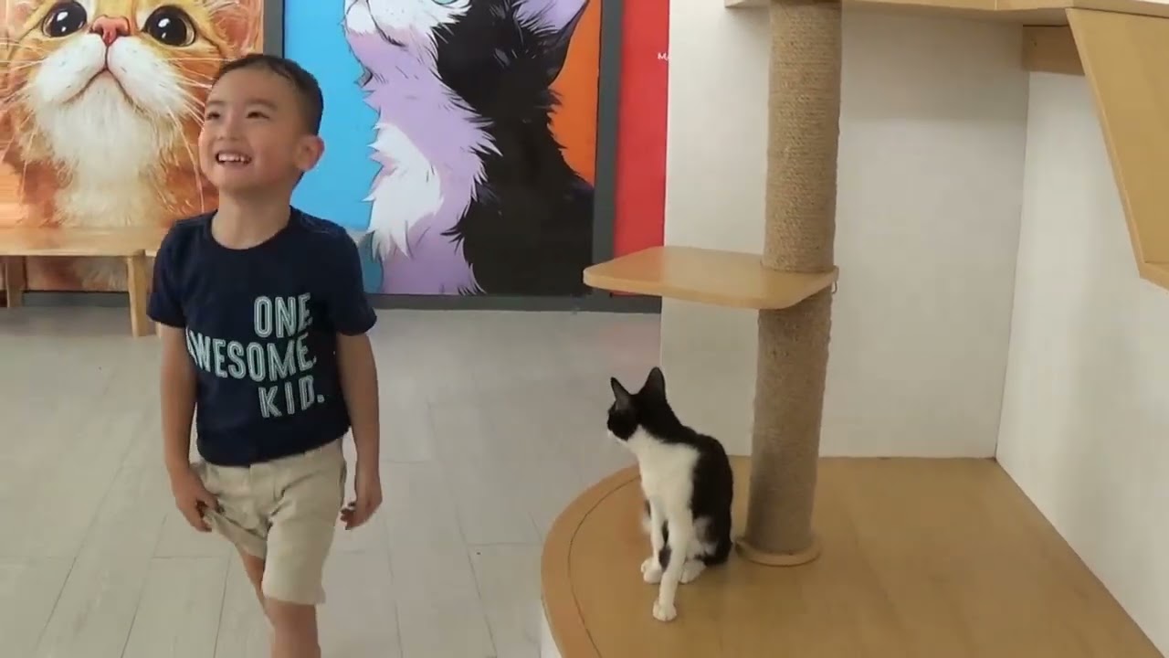 Minh Khôi chơi với mèo tại Mật Pet Farm