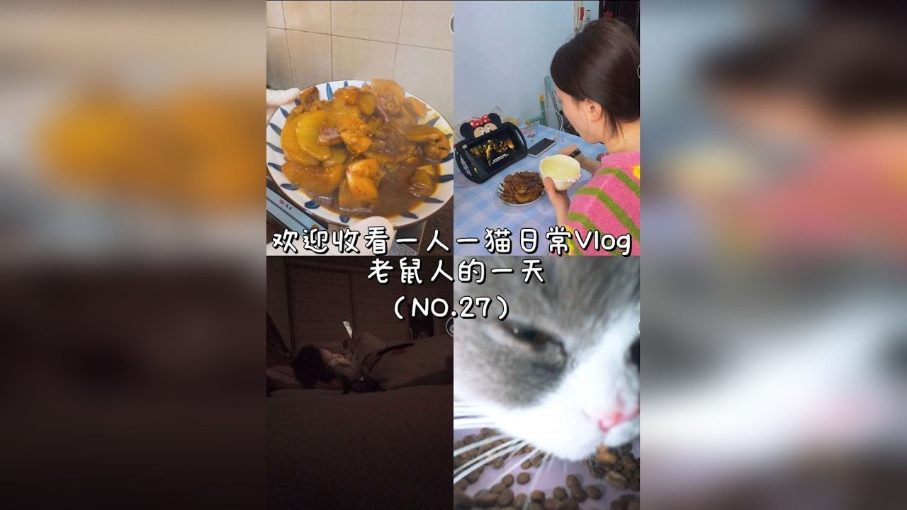 第27集｜volg27欢迎收看一人一猫日常Vlog 老鼠人的一天