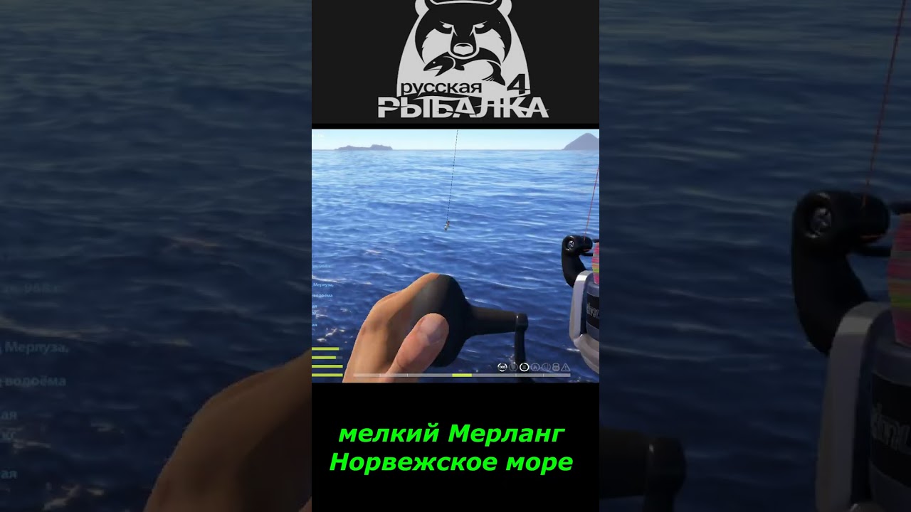 #shorts  #🎮мелкий мерланг Норвежское море 🎮# Russian Fishing 4 #