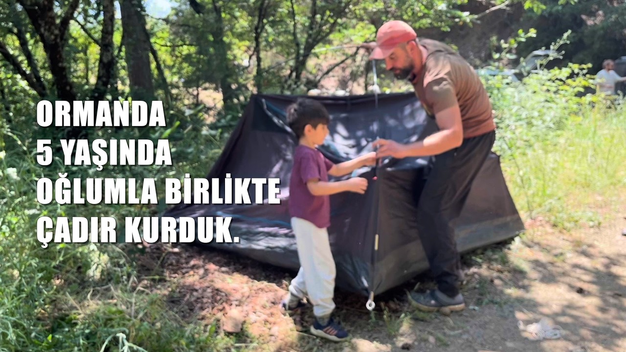 🏕️ Kaz Dağları’nda orman yolunun sonunda 5 yaş oğlumla birlikte çadır kurduk. Haziran 2025
