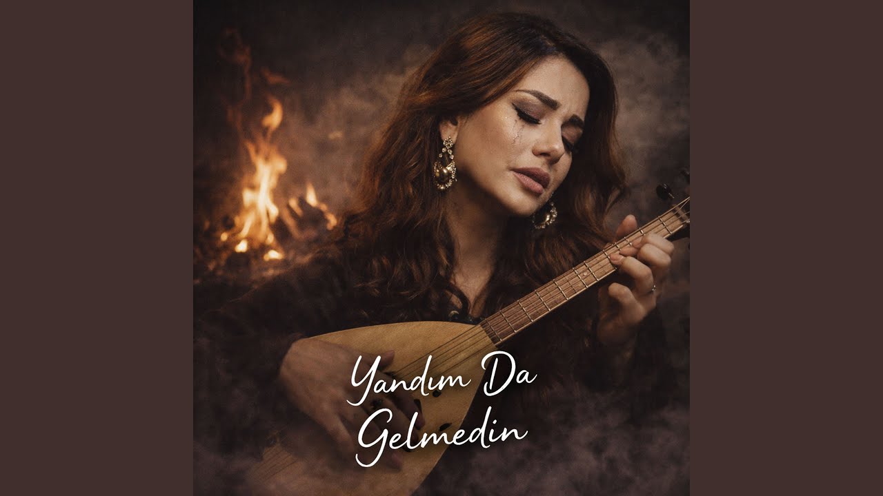 Yandımda Gelmedin