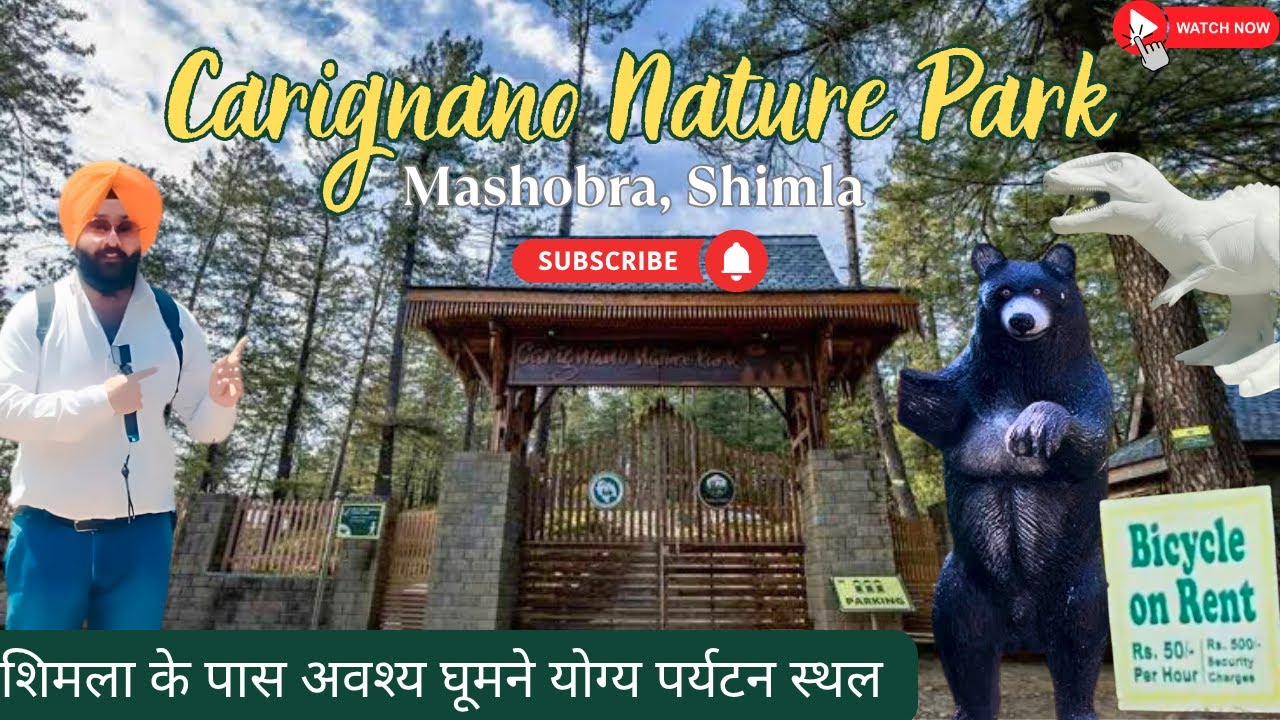 Carignano Nature Park | Hidden Gem Near Shimla | Mashobra Vlog | Himachal Pradesh Travel Guide