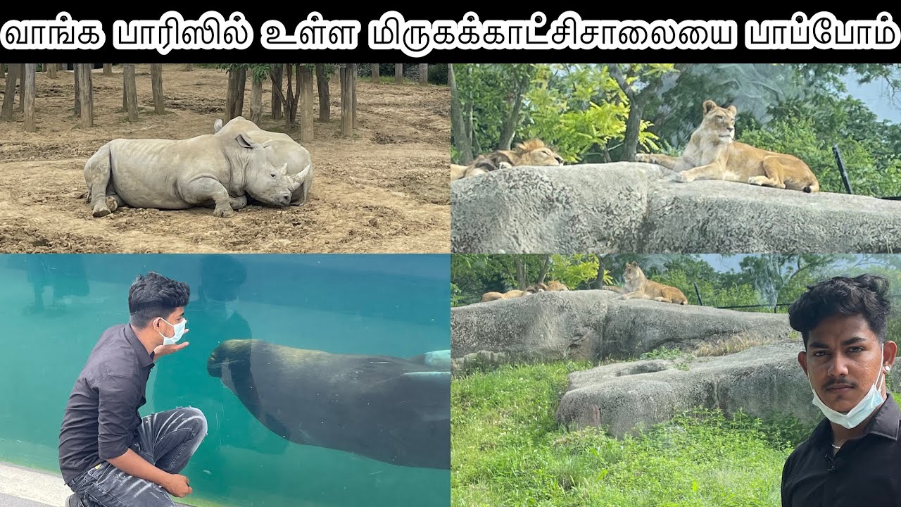 Paris Zoological Park | Vincennes zoo | Parc zoologique de Paris | Tharsikan Official