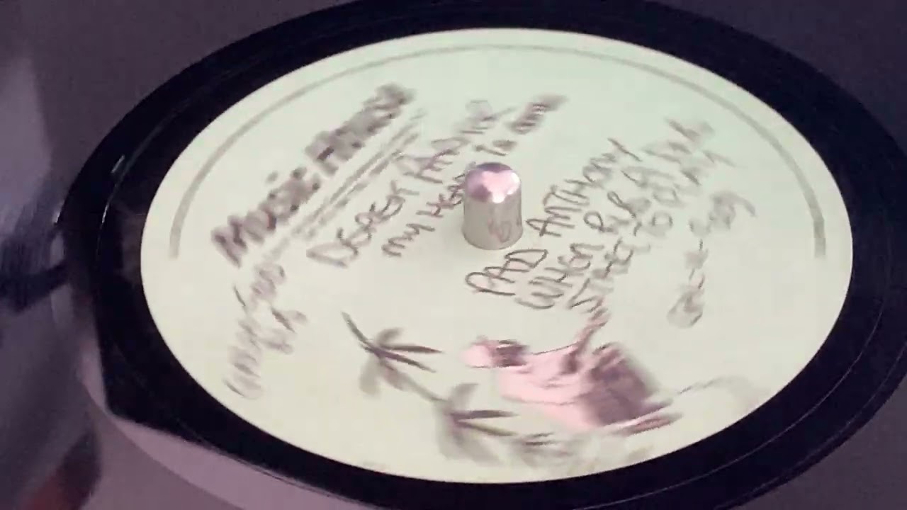 PAD ANTHONY ~ When Rub A Dub Start To Play (Dubplate)