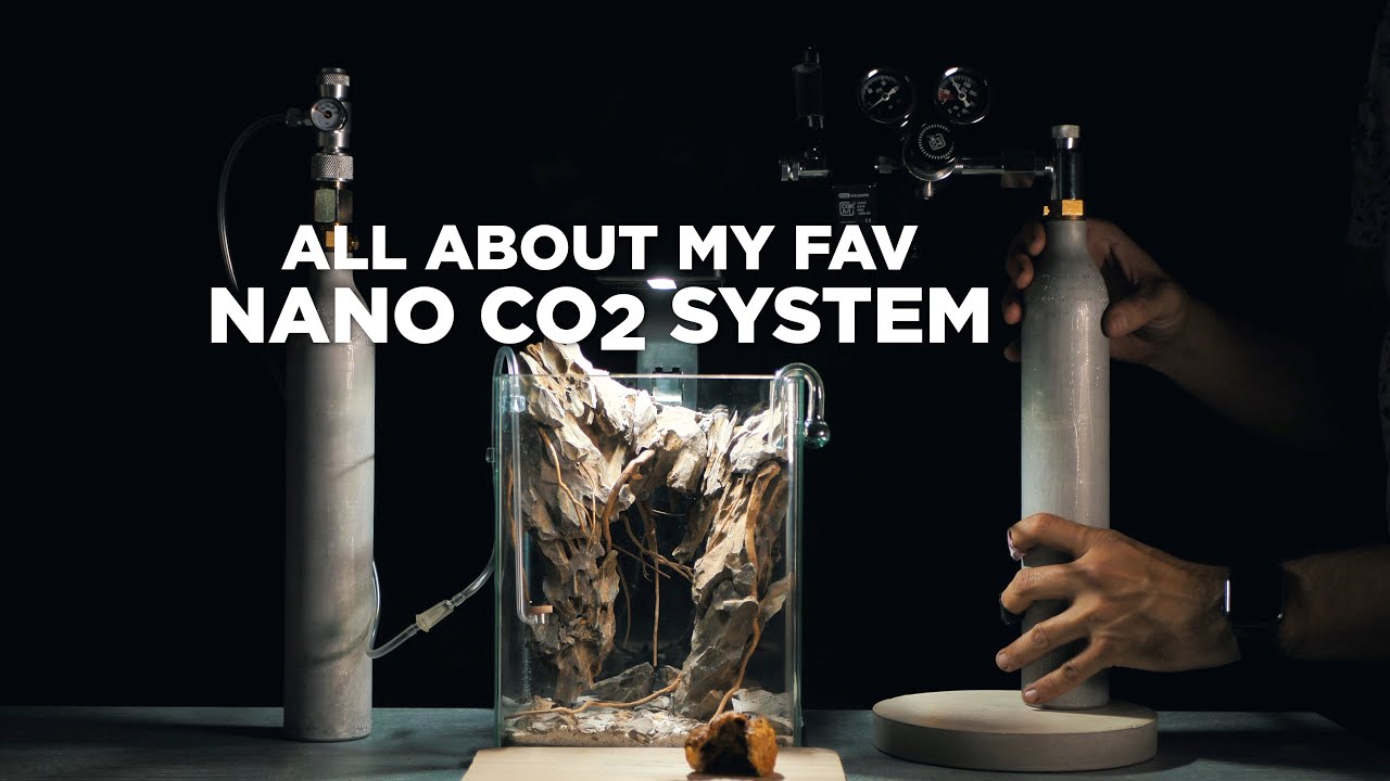 All about my fav nano CO2 system - Quick installation guide